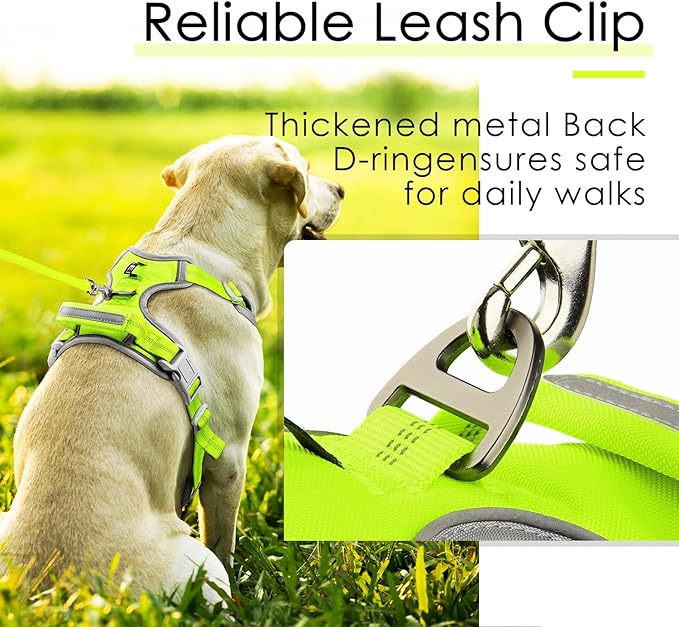ThinkPet No Pull Harness Set Breathable Sport Harness with Handle - Reflective Padded Dog Safety Vest with Reflective Neon Dog Leash S Harness Leash Pack Green