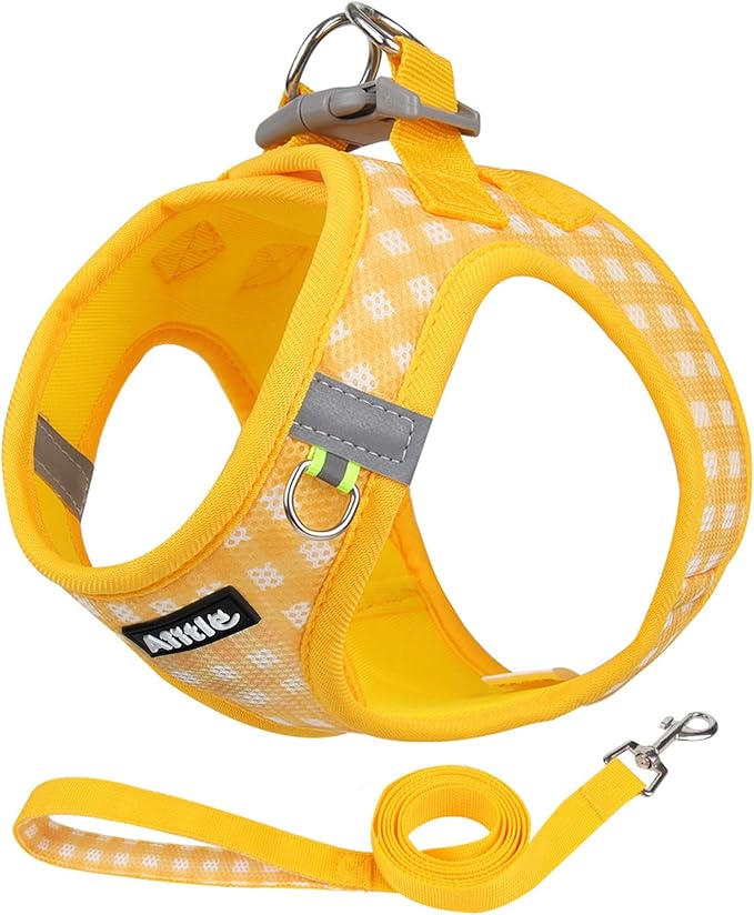 AIITLE Easy Walk Dog Vest Harness and Leash Set, Pet Supply No Pull, Breathable Mesh, Reflective Stripes, Adjustable Escape Proof Pet Outdoor Harnesses for Medium Dogs Yellow L