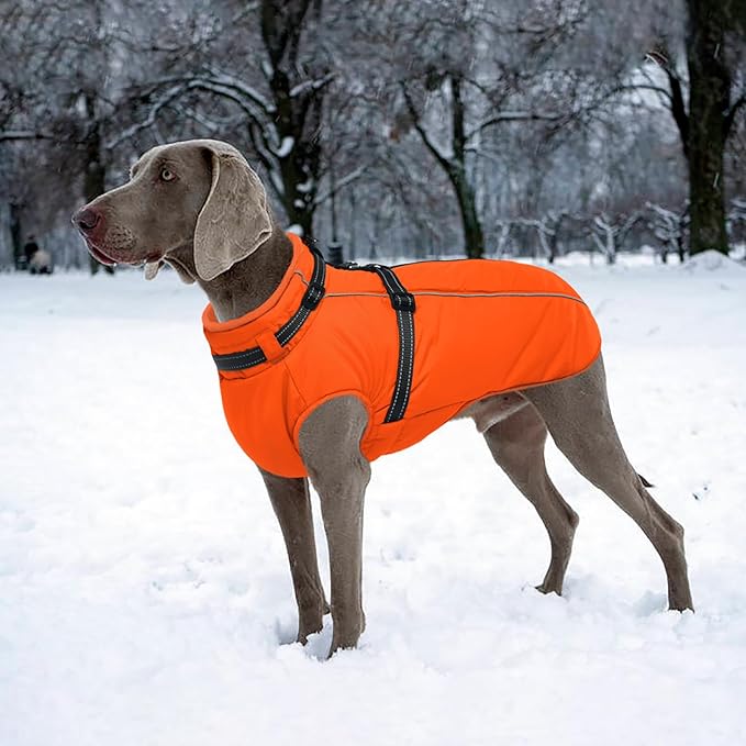 Lelepet Dog Winter Coat Waterproof Dog Jacket with Harness Built in Windproof Reflective Pet Coats for Extra Large Dogs, Thermal Fleece Lined Coats for Cold Weather Walking, Great Dane, Orange, 3XL