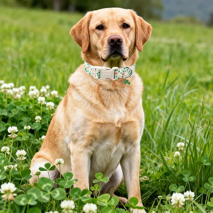 DOGWONG St Patrick's Dog Collar, Green Clover Pet Collar Cotton Flower Shamrock Pet Collar Cute Puppy Collar Adjustable Pet Dog Collars for Small Dogs,S