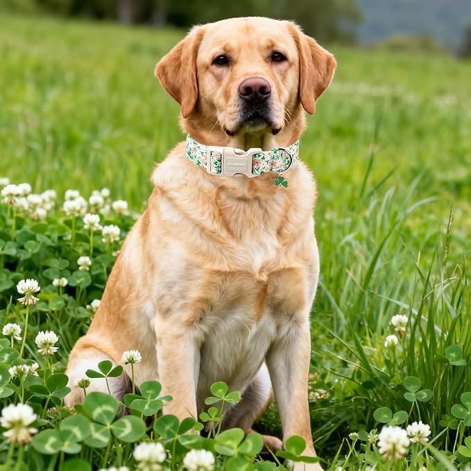 DOGWONG St Patrick's Dog Collar, Green Clover Pet Collar Cotton Flower Shamrock Pet Collar Cute Puppy Collar Adjustable Pet Dog Collars for Medium Dogs,M