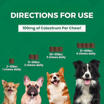 Nootie Progility Mini Allergy & Immune Supplement for Small to Medium Dogs – Advanced Immune Support for Everyday Wellness & Seasonal Allergies, Soft Chews (60 Count)