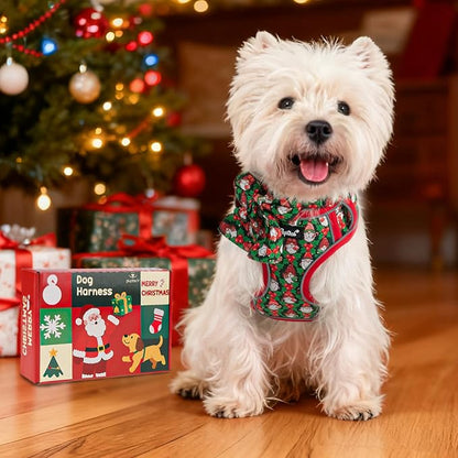 PUPTECK Christmas Dog Harness Collar and Leash Set with Gift Box, No Pull Soft Light Pet Harness, Reflective Adjustable Puppy Vest, for Small Sized Dogs Cats Walks, Red&Green S