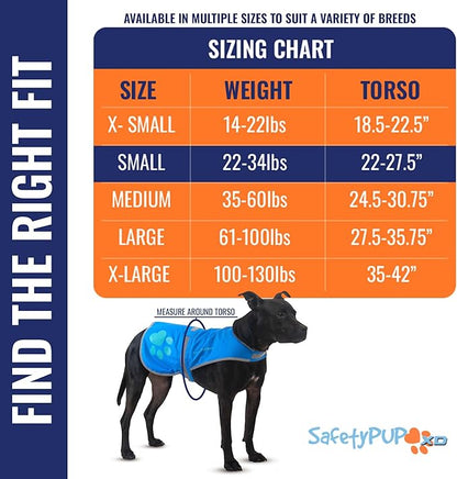 SafetyPUP XD Dog Reflective Vest – Hi-Vis Fluorescent Visibility That Helps to Safeguard Your Pet On/Off Leash in Urban & Rural Areas (Blue, Small)