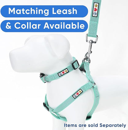Pawtitas Reflective Step-in Dog Harness – Adjustable No-Pull Vest for Puppies to Seniors, Safe & Comfortable, M Teal