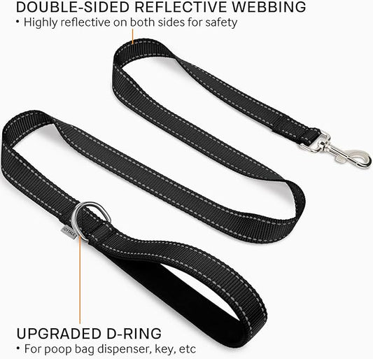 Joytale Double-Sided Reflective Dog Leash, 4 FT, Padded Handle Nylon Heavy Duty Leashes for Small & Medium Dogs Walking, Black