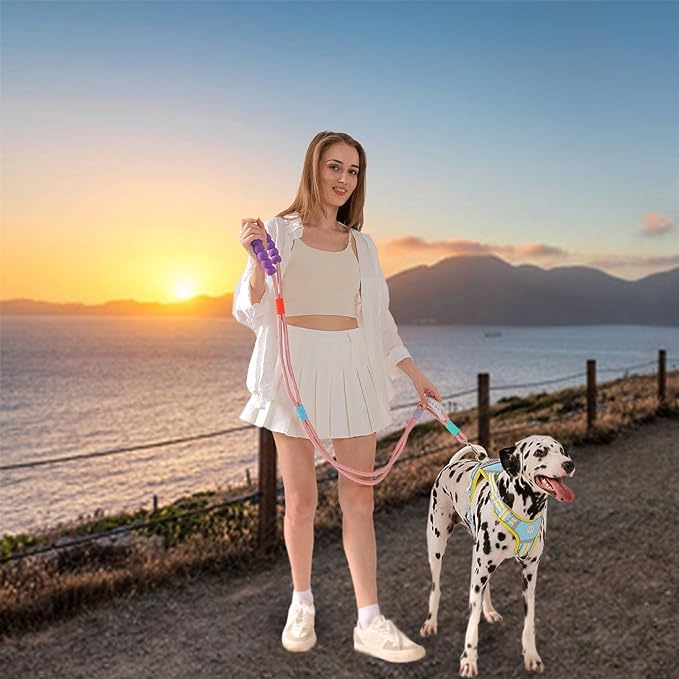 JSXD Dog Leash,5 FT Heavy Duty Dog Training Leash,Double Handle Comfortable Padded Hands Free Dog Leash,Adjustable Crossbody Waist Leash for Small Medium Large Dogs(Pink)