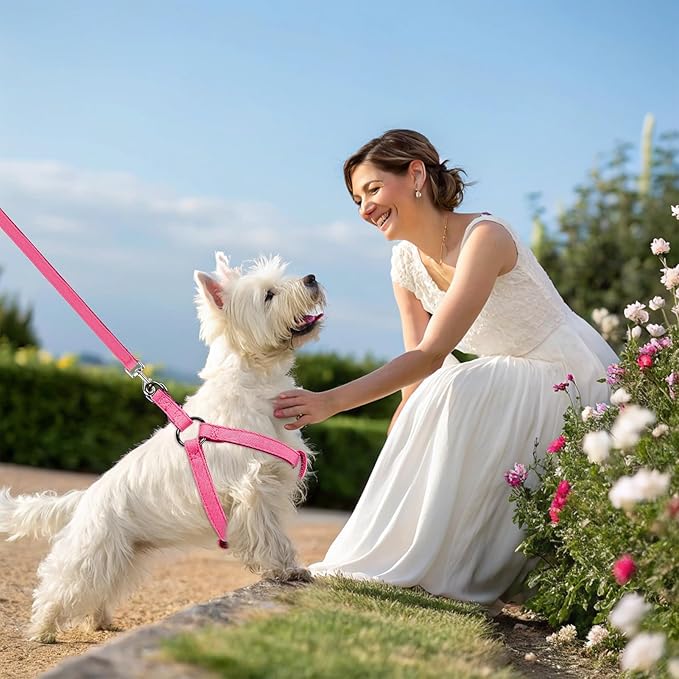 BINGPET Dog Harness Leash Set,Adjustable No Pull Step in Dog Harness,Stylish Denim Puppy Harness for Small and Medium Dogs Easy Walk Training Running(Pink,M)