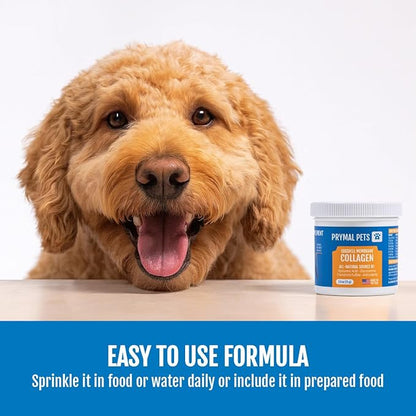 Eggshell Membrane Collagen for Dogs - Non-Gelatin and Non-Bone Marrow Based, All Natural Premium Dog Collagen Powder from Eggshell Membranes: Supports Pet Hips, Joints, Nails, Fur and Digestion.