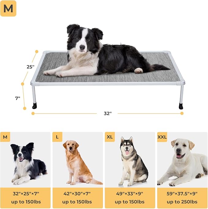 Veehoo Chewproof Elevated Dog Bed- Cooling Raised Pet Cot, Breathable Mesh, Washable & Non-Slip for Medium Dogs, Indoor/Outdoor, Black Silver Mat and Silver Metal Frame, 32x25inches (Model CWC2203B03)