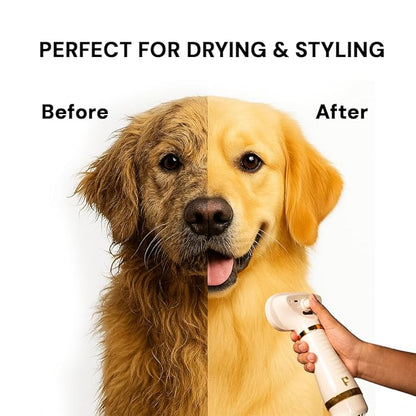 Pet Steam Brush Grooming Dryer for Dogs & Cats – 3-in-1 Grooming Tool with Gentle Steam, 600W Motor, Deshedding, Drying & Fur Fluffing for All Coat Types