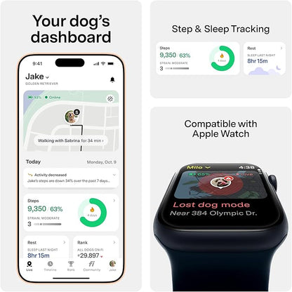 New Fi Series 3+ Smart Dog Tracker Collar [12 Month Membership Included] GPS Tracker for Dogs with Health & Behavior Monitoring, Escape Alerts, Waterproof, LED, Apple Watch Compatible (Gray, Small)