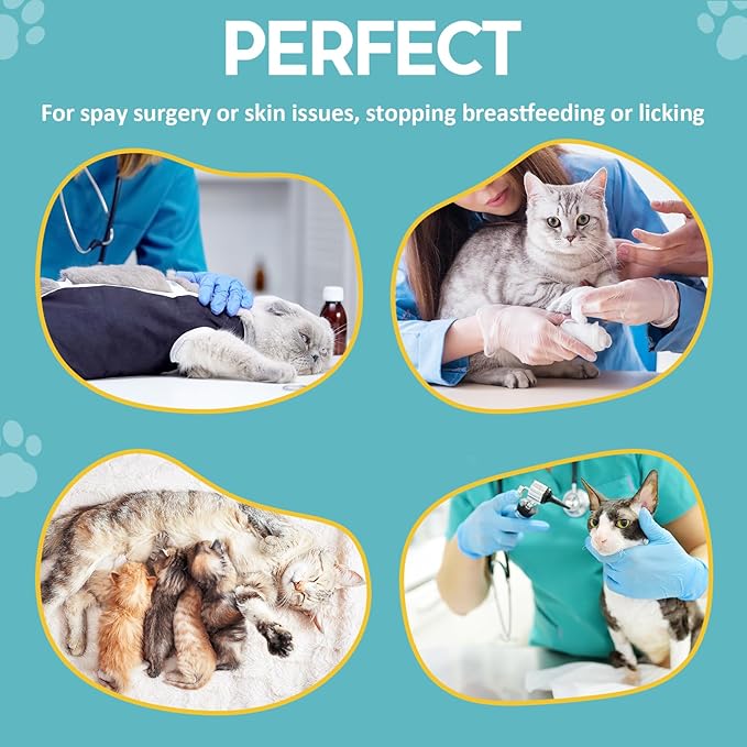 Avont Cat Recovery Suit - Post-Surgery Onesie for Cats, Alternative to Cone of Shame, Protective Spay Suit for Female Kitten, Ideal for Healing and Skin Conditions -Purple(S)