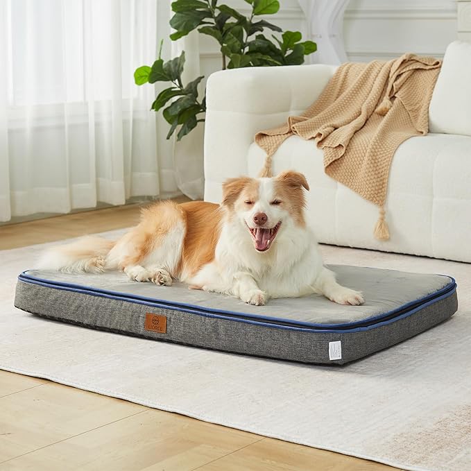 LIORCE Memory Foam XL Dog Bed - 4” Thick Orthopedic Beds for Extra Large Dogs - Waterproof Dog Bed with Removable Washable Cover & Wrap-Around Zipper - Ultimate Comfort and Easy Maintenance