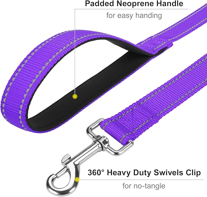 4FT Reflective Nylon Dog Leash with Soft Padded Handle for Walking, Running and Training, Supports Small Medium and Large Dogs (Purple, 1 Inch Wide)