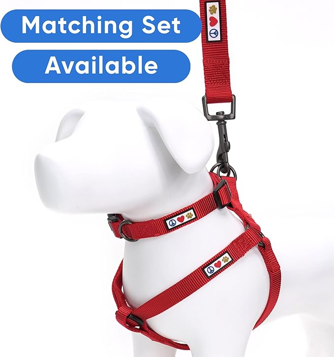 Pawtitas Solid 6 ft Red Dog Leash XS/S Custom Name and Phone Embroidery Strong Nylon Leash for Small Breeds