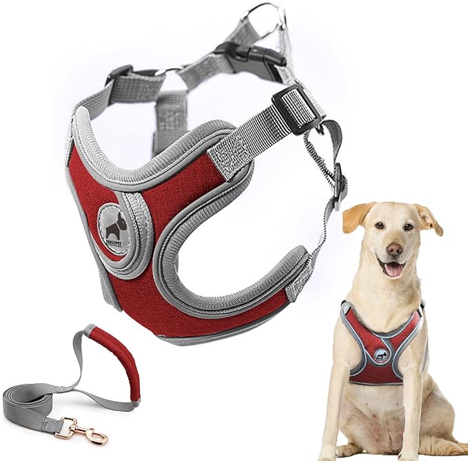 Dog Harness with Leash Set, Adjustable Step in Collars Harness with Breathable Padded Vest for Small Medium Large Dogs Training and Running(L, Red)