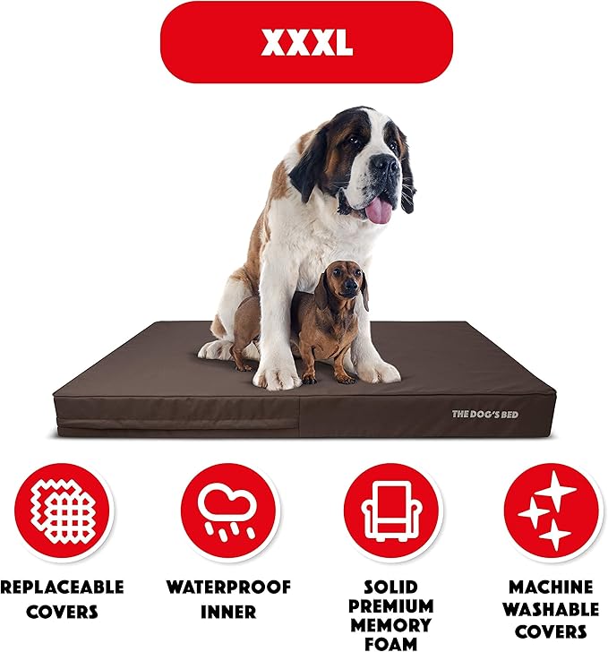 The Dog’s Bed Orthopedic Memory Foam Dog Bed, XXXL 6Inch Brown with Brown Piping, Pain Relief for Arthritis, Hip & Elbow Dysplasia, Waterproof Washable Cover, Veterinary Approved
