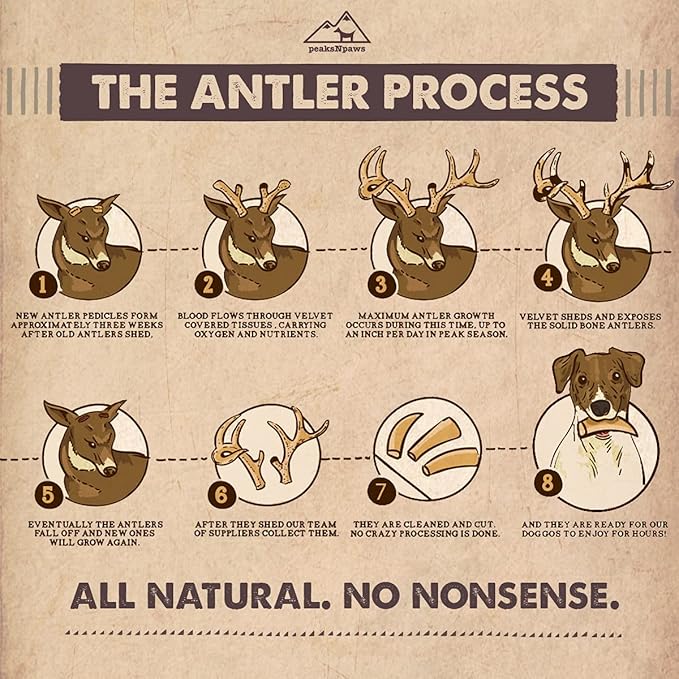 peaksNpaws Premium All-Natural Grade A Split Elk Antlers for Dogs – Naturally Shed in The Rocky Mountains – No Additives, No Preservatives - Healthy and Delicious Treat - Made in USA - XL/Jumbo Split