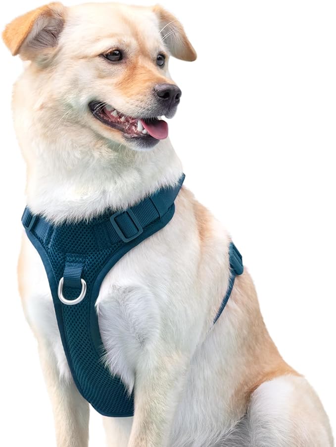 No Pull Dog Harness for Small Medium Large Dogs - Adjustable 2 Layer Mesh Dog Vest with Dual Clip, Escape Proof, Quick Release, Lightweight Breathable Mesh for Walking Hiking (Prussian Blue,XL)