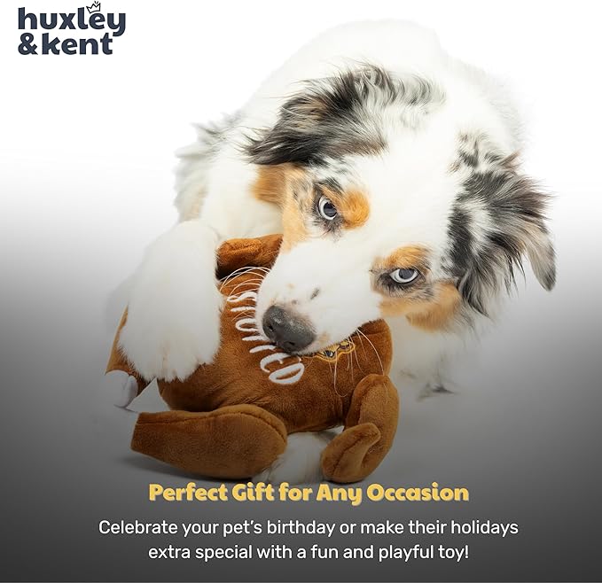Huxley & Kent Funny Dog Toy w/Squeaker – Thanksgiving Fall Power Plush Squeaky Dog Toys for Small, Medium & Large Dogs – Soft Stuffed Animal for Indoor Play & Fetch - I'm Stuffed Turkey, Small