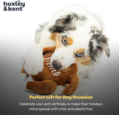 Huxley & Kent Funny Dog Toy w/Squeaker – Thanksgiving Fall Power Plush Squeaky Dog Toys for Small, Medium & Large Dogs – Soft Stuffed Animal for Indoor Play & Fetch - I'm Stuffed Turkey, Small