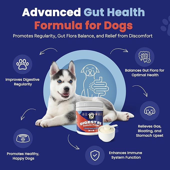 Probiotics for Dogs – Digestive Enzymes, Supports Gut Health, Vet-Formulated Prebiotics & Probiotics, for Immune Support, Diarrhea, Gas, Itching & Seasonal Allergies, Made in USA, 120 Scoops