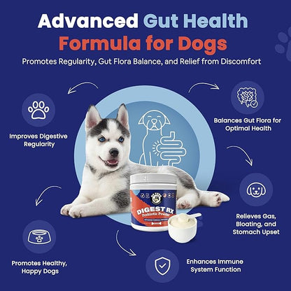Probiotics for Dogs – Digestive Enzymes, Supports Gut Health, Vet-Formulated Prebiotics & Probiotics, for Immune Support, Diarrhea, Gas, Itching & Seasonal Allergies, Made in USA, 120 Scoops