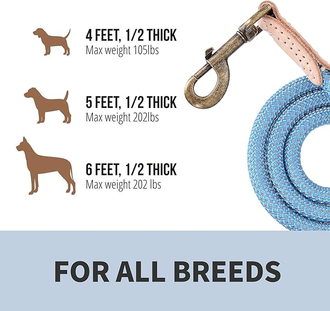 Mile High Life Reflective Dog Leash - Heavy Duty Nylon Rope Leash for Small to Large Dogs, Climbing Rope with Leather Tip (Green, 60 Inch)