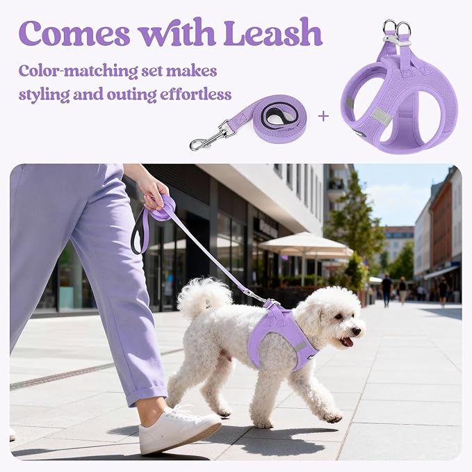 rabbitgoo Dog Harness Small Sized and Leash Set, Step in Soft Light Puppy Vest, Breathable Mesh Pet Harness, Reflective for Safe Easy Walking, Light Purple XXXS