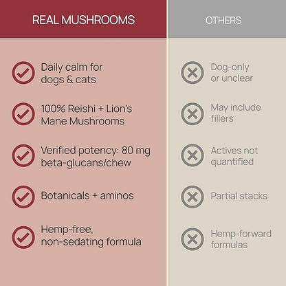 Calming Chews for Dogs & Cats – Soft Chews with Reishi & Lion’s Mane for Daily Composure – for All Breeds & Sizes – Calming Treats for Dogs: 1 Chew/20 lb Daily; Cats: ¼ Chew Twice Daily – 60 Count