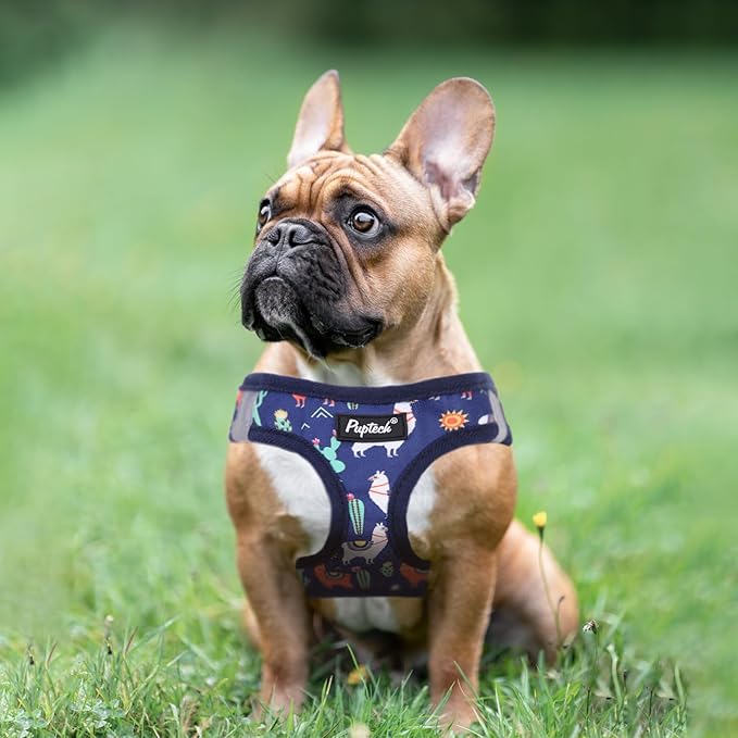 PUPTECK Dog Harness and Leash Set for Small Medium Dogs No Pull Step-in Soft Mesh Puppy Cat Vest Harnesses Reflective at Night, NavyBlue Print, M