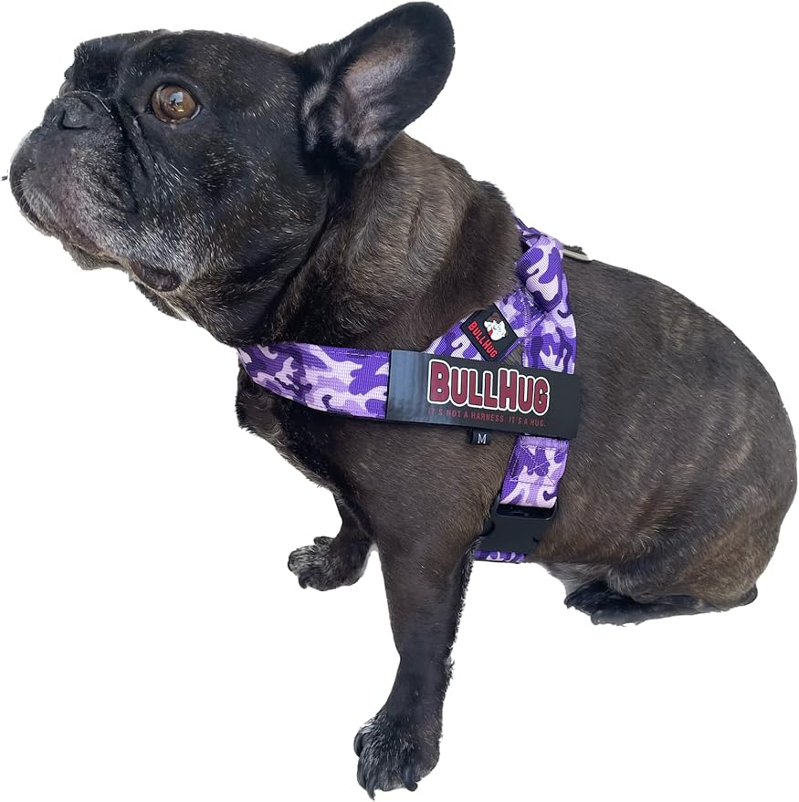 BULLHUG Adjustable Dog Harness– No Pull, No Choke – for English Bulldogs, French Bulldogs, Pugs & Broad-Chested Breeds – Easy, Safe Walks (Purple Camouflage, XL)