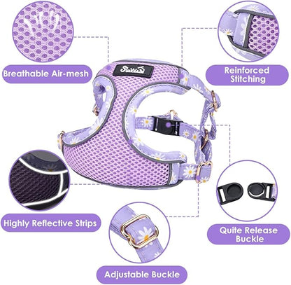 SlowTon Small Dog Harness - No Pull Dog Harness and Leash Set, Soft Mesh Lightweight Puppy Vest Harnesses, Adjustable Pet Harnesses for XXS XS Small Medium Easy Walk Hiking (Purple, XXS)