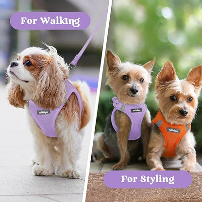 rabbitgoo Small Dog Harness, Step-in Soft Mesh Puppy Vest with Safety Buckle, Breathable Reflective Pet Harness for Extra Small Dogs, Light Purple XXXS