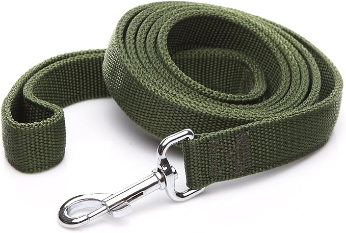 Strong Nylon Dog Leash with 2-Layer, 4 FT/ 6 Feet Long, 1 Inch Wide for Medium Large Dogs (1'' x 5 FT, Green)
