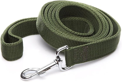 Strong Nylon Dog Leash with 2-Layer, 4 FT/ 6 Feet Long, 1 Inch Wide for Medium Large Dogs (1'' x 5 FT, Green)
