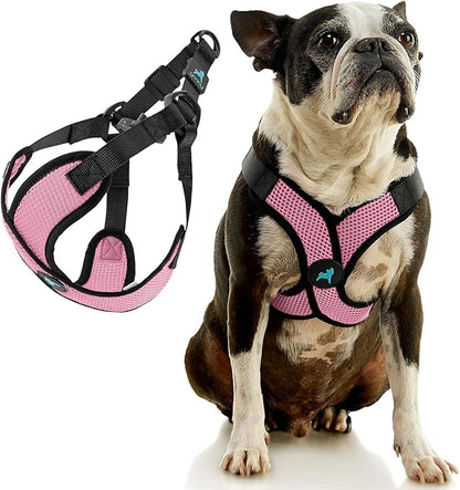 Gooby Comfort X Step in Lite Dog Harness - Choke Free, Escape Free with Light Breathable Mesh - Step in Dog Harness for Small Dogs Only - Quick Release Buckle, Metal D-Rings - Pink, Small