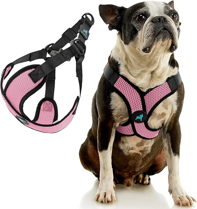Gooby Comfort X Step in Lite Dog Harness - Choke Free, Escape Free with Light Breathable Mesh - Step in Dog Harness for Small Dogs Only - Quick Release Buckle, Metal D-Rings - Pink, X-Large