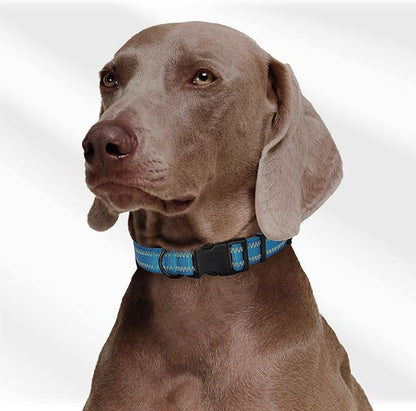 Mile High Life Reflective Dog Collar, Basic Dog Collars Adjustable Quick Release, Soft Nylon Pet Collar with Metal D-Ring for Small Medium Large Dogs (Hot Blue, M Neck13-17")