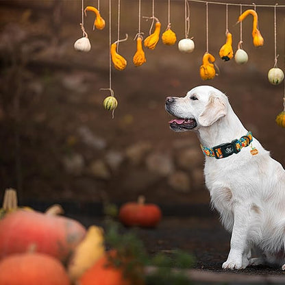 Elegant little tail Halloween Dog Collar, Pumpkin with Flower Print Blue Fall Pet Collars Cotton Soft Sturdy Puppy Collars Holiday Female Adjustable Collar for Medium Dogs