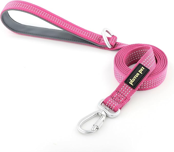 Plutus Pet Heavy Duty Dog Leash with Lockable Aluminum Carabiner, 4/6 Feet Long, Double-Sided Reflective Nylon, Padded Handle, for Puppy, Small, Medium and Large Dogs (Pink, 4/5" x 6')
