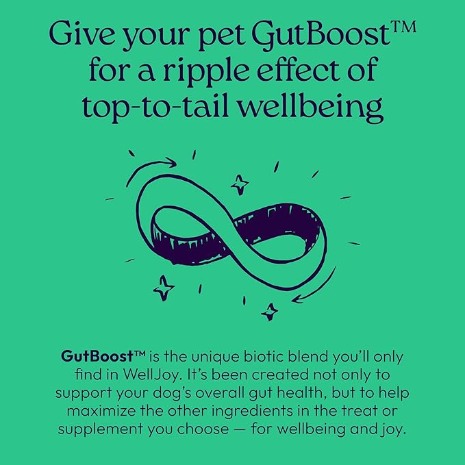 New! WellJoy Dog Treat Dental+ GutBoost | Helps Reduce Tartar | Freshens Breath | Dual-Benefit GutBoost Formulation | Vet Formulated | Made in USA | Made with Real Shredded Chicken | 24 Sticks