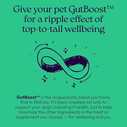 New! WellJoy Dog Treat Dental+ GutBoost | Helps Reduce Tartar | Freshens Breath | Dual-Benefit GutBoost Formulation | Vet Formulated | Made in USA | Made with Real Shredded Chicken | 24 Sticks