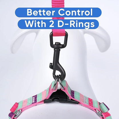 Pawtitas Multicolor Step-in Dog Harness – Adjustable No-Pull Vest for Puppies to Seniors, Safe & Comfortable S Teal/Pink/Purple