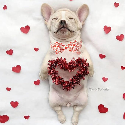 Valentine’s Day Dog Collar with Bow Tie,Donut Heart Bowtie Collar with Metal Buckle,Valentine’s Day Gift Pet Collar for Puppy Girl Boy Dog or Cat, Comfortable Dog Collar, XS, Neck 8-12in
