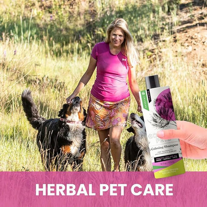 Gou Gou Pets Holistic Natural Derived Calming Pet Shampoo for Anxiety: Veterinarian Recommended: Providing Stress Relief for Dogs, Cats and Horses - Made in USA - 16 oz