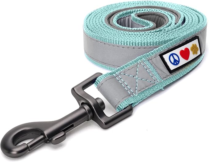 Pawtitas Teal Dog Leash 6 ft Custom ID Lead for Dogs & Puppies Reflective Comfortable Padded Handle Embroidered Name & Phone Number