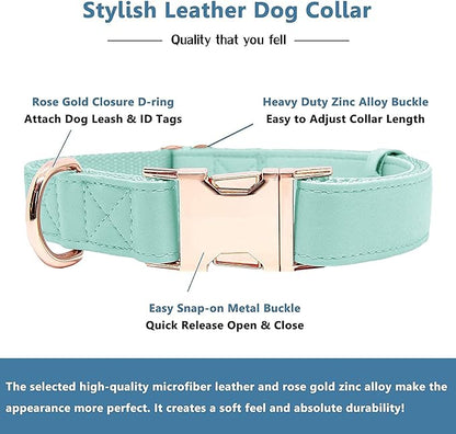Soft Leather Dog Collar and Leash (6.6') Set - Stylish Rose Gold Heavy Duty Metal Buckle, 4 Adjustable Lengths Leash for Small Medium Large Dogs - Comfortable & Easy to Clean Mint Green L(15.4"-24.8")