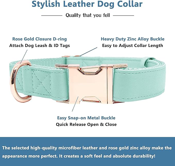 Soft Leather Dog Collar and Leash (6.6') Set - Stylish Rose Gold Heavy Duty Metal Buckle, 4 Adjustable Lengths Leash for Small Medium Large Dogs - Comfortable & Easy to Clean Mint Green S(12.2"-16.9")